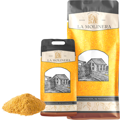 Arranque Pollos la Molinera Arranque Pollos la Molinera